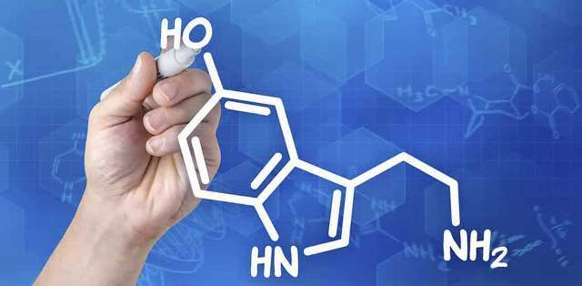 mutluluk-hormonu-serotonin