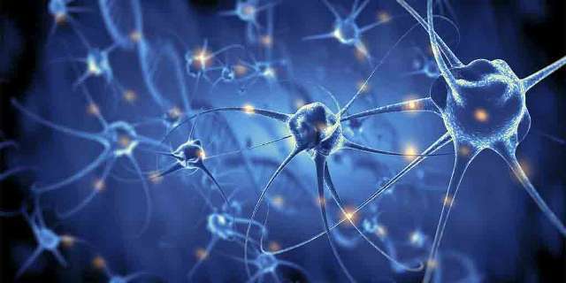 Beynin Mikroplarla Savaşı ve Alzheimer