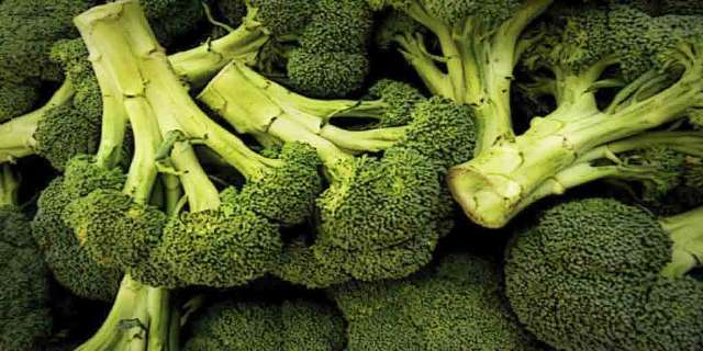 Brokoli İçin Daha Fazla Neden