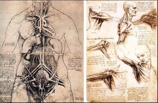 leonardo-da-vinci-nin-eskiz-defterleri